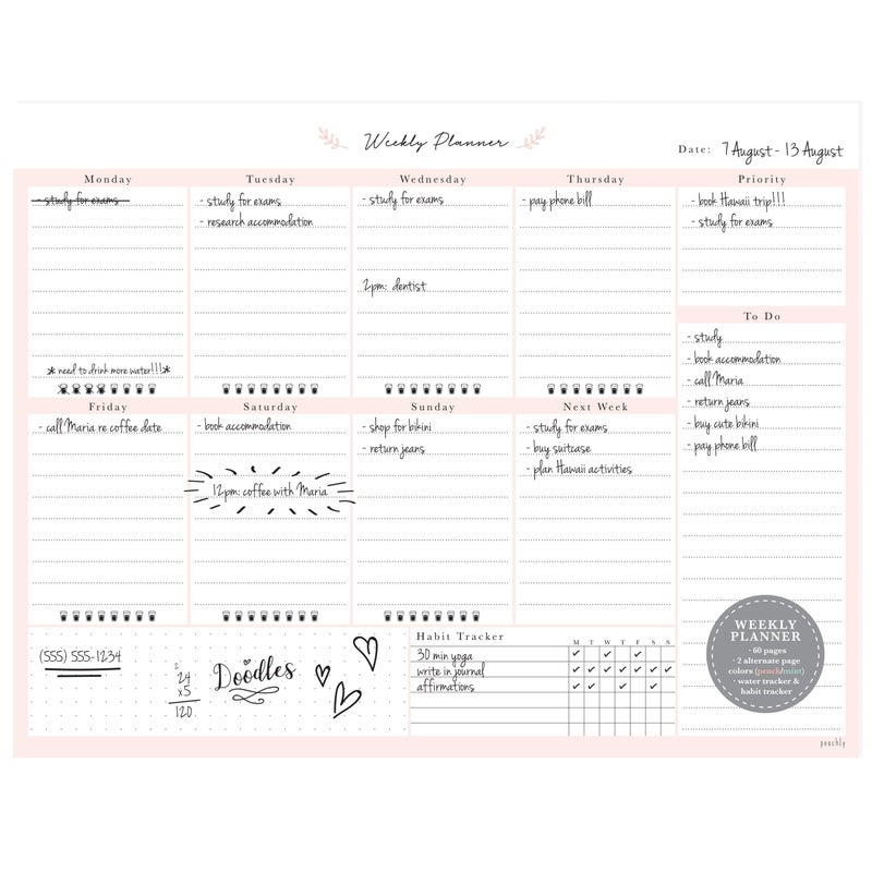 Peachly Desktop Weekly Planner Notepad | 60 Undated Tear-Off Pages | Schedule Daily To-Do Lists | Increase Your Productivity In Less Than 5 Minutes A Week | Achieve Your Goals | Peach and Mint Fern - Image 5